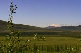 Mt. McKinley 20320 ft.